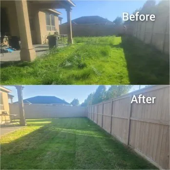 Local yard maintenance in Ventura, CA by Ventura County Lawn Solutions