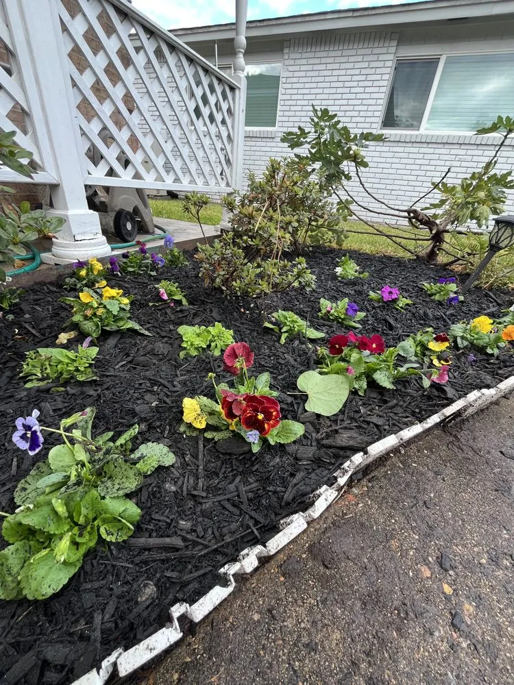 Custom yard maintenance experts serving Houston, TX - Ventura Landscape