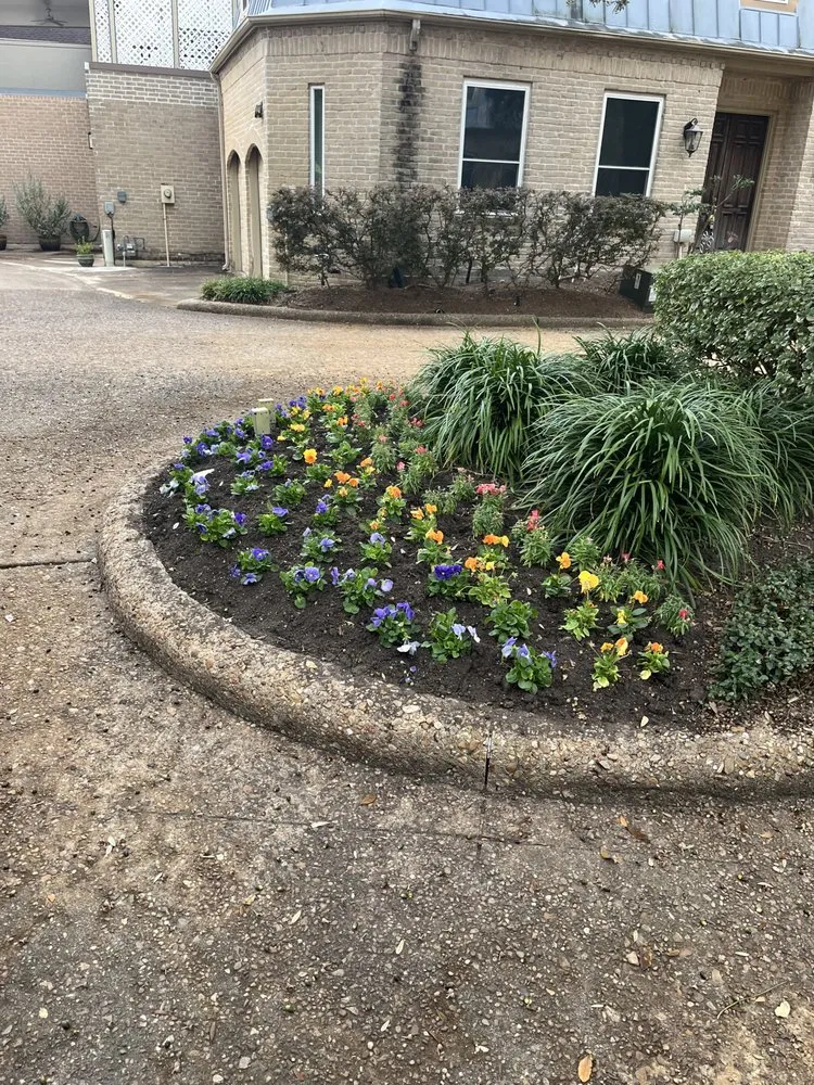 Expert yard cleanup service experts serving Houston, TX - Ventura Landscape