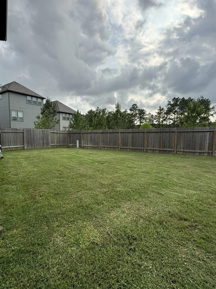 Trusted yard maintenance in Houston, TX by Ventura Landscape