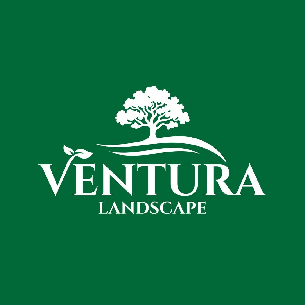 Reliable yard cleanup service for year-round maintenance in Houston, TX by Ventura Landscape