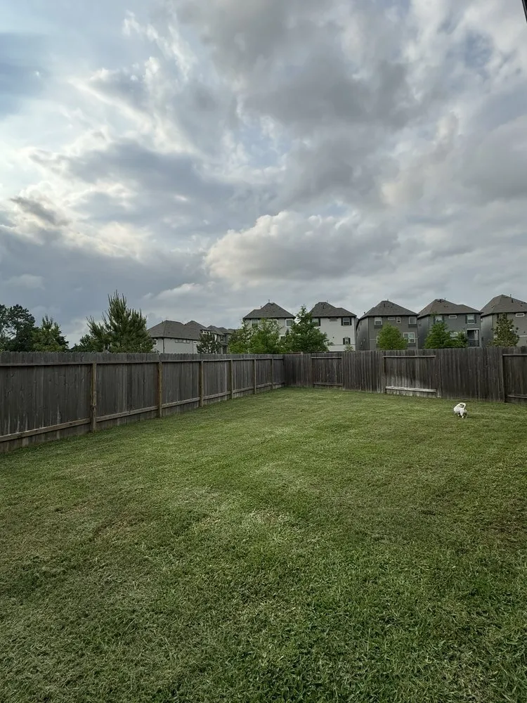 Top-rated yard cleanup service in Houston, TX by Ventura Landscape