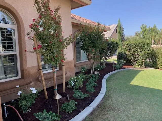 Professional residential landscaping in Bakersfield, CA by Ventura Landscaping