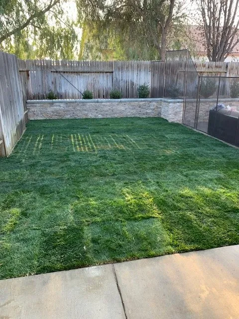 Expert landscape installation for year-round maintenance in Bakersfield, CA by Ventura Landscaping