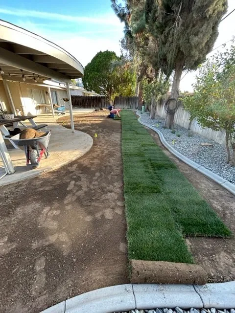 Affordable yard cleanup service in Bakersfield, CA by Ventura Landscaping