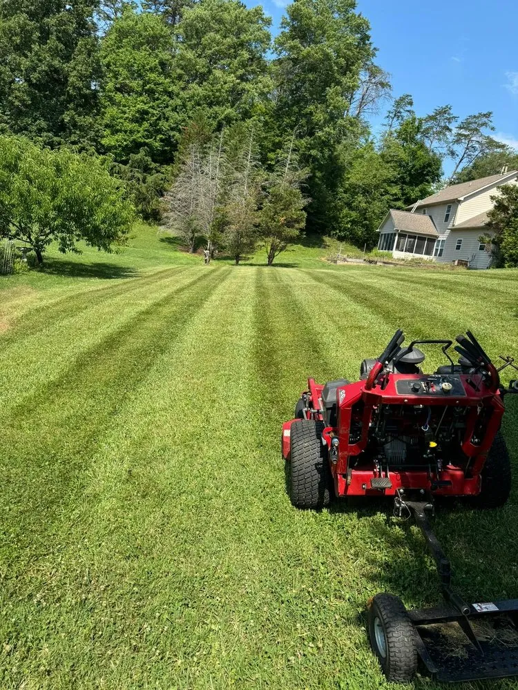 Top-rated lawn care service in Knoxville, TN by Ventura Landscaping