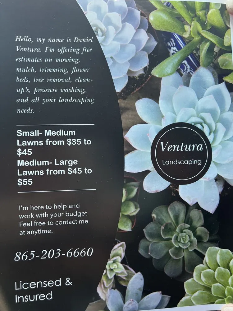 Custom garden landscaping for outdoor upgrades across Knoxville, TN - Ventura Landscaping