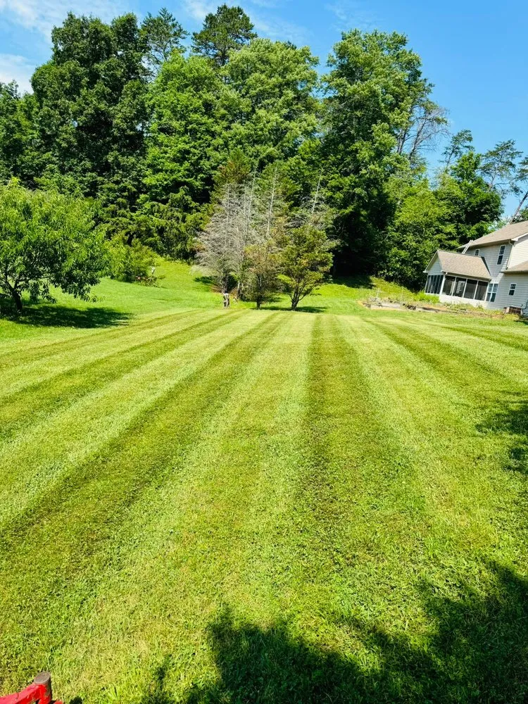Local yard maintenance for residential properties across Knoxville, TN - Ventura Landscaping