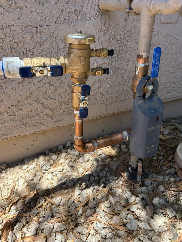 Professional residential landscaping experts serving Phoenix, AZ - Ventura Landscaping Services