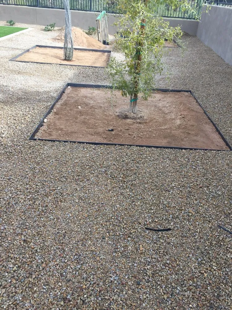 Local yard maintenance in Phoenix, AZ - Ventura Landscaping Services