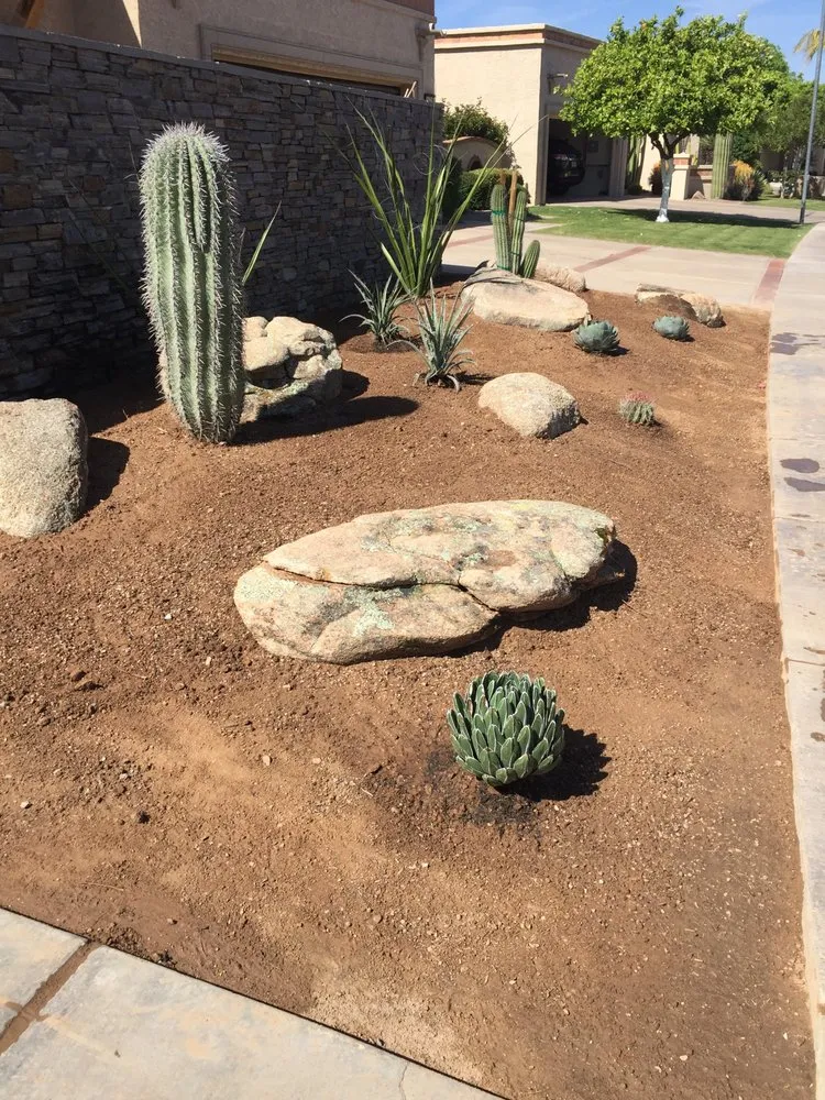 Local lawn care service for homes across Phoenix, AZ - Ventura Landscaping Services