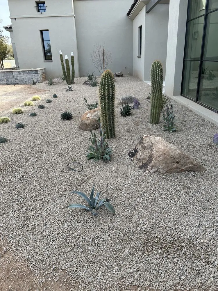 Reliable lawn care service in Phoenix, AZ - Ventura Landscaping Services