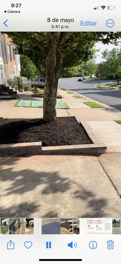 Local yard maintenance for homes in Sterling, VA by Ventura Landscaping