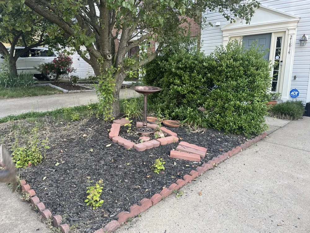 Expert yard cleanup service in Sterling, VA by Ventura Landscaping