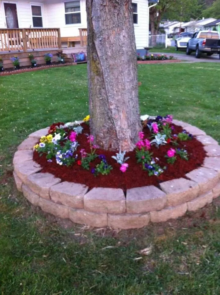 Affordable landscaping services for homes across Thousand Oaks, CA - Ventura Landscaping