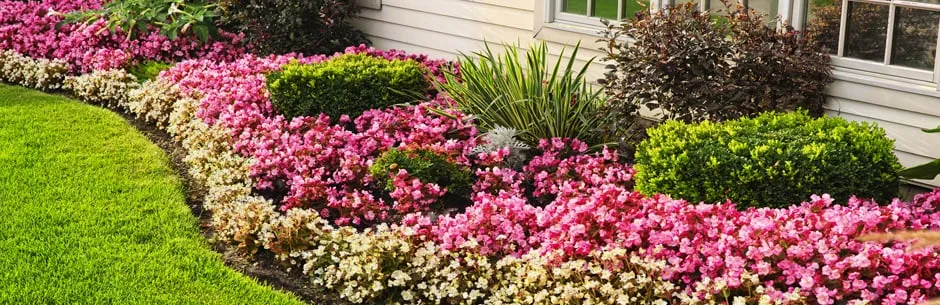 Trusted yard cleanup service experts serving Thousand Oaks, CA - Ventura Landscaping