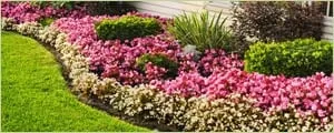 Reliable residential landscaping in Thousand Oaks, CA - Ventura Landscaping