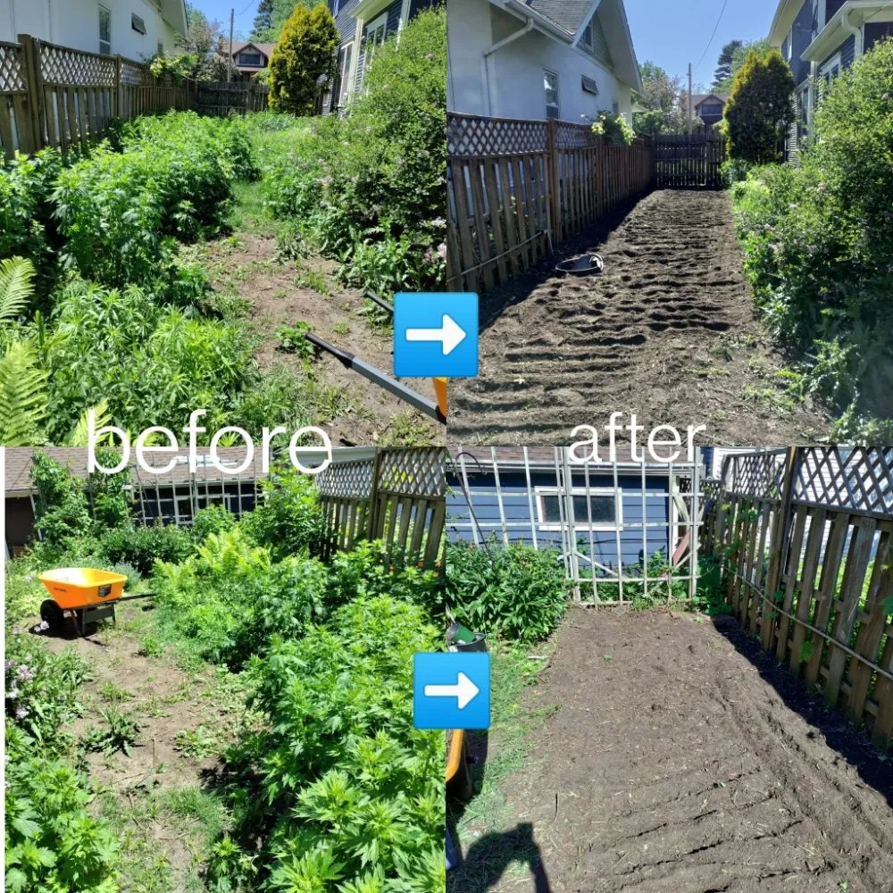 Professional outdoor landscaping in Columbia Heights, MN - Ventura Lawn Care