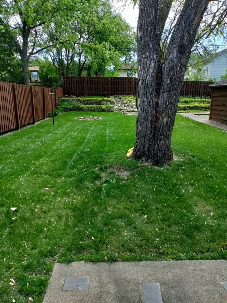 Affordable garden landscaping for beautiful yards in Columbia Heights, MN by Ventura Lawn Care