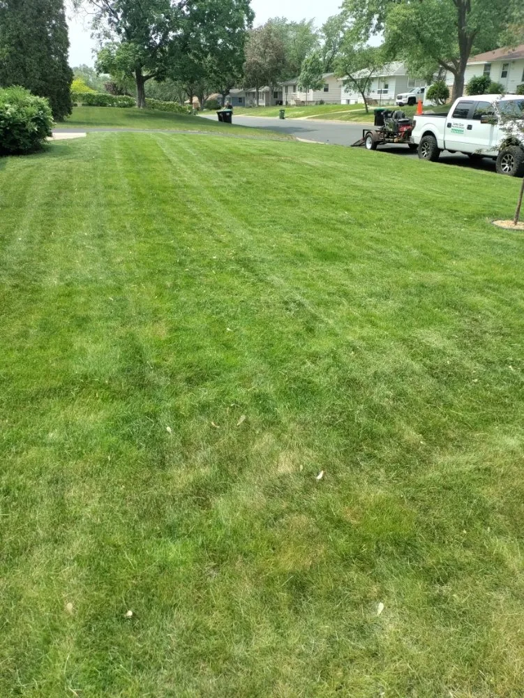 Custom lawn care service in Columbia Heights, MN - Ventura Lawn Care