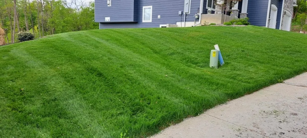 Expert lawn mowing service experts serving Columbia Heights, MN - Ventura Lawn Care