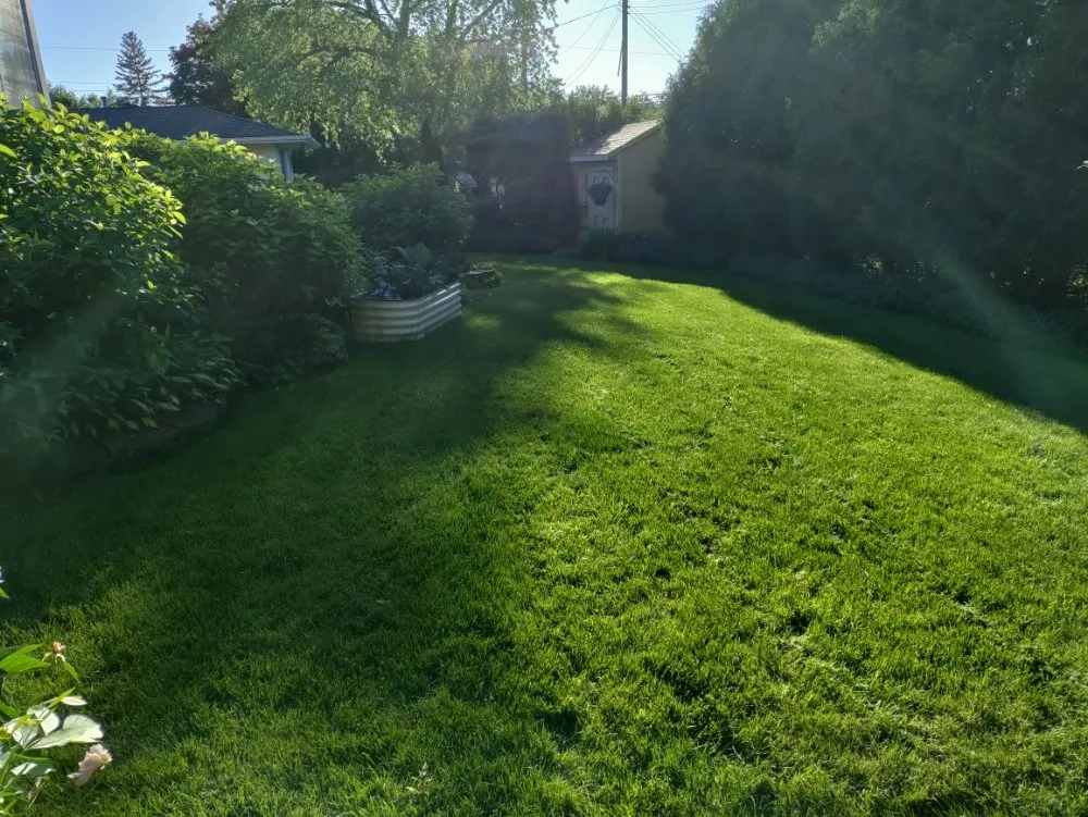 Custom yard cleanup service in Columbia Heights, MN - Ventura Lawn Care