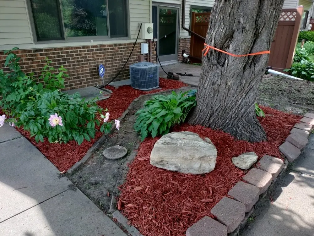 Local lawn care service in Columbia Heights, MN by Ventura Lawn Care