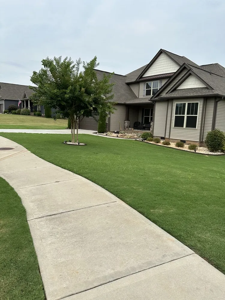 Expert yard cleanup service in Greenville, SC by Ventura Premium Outdoor Service