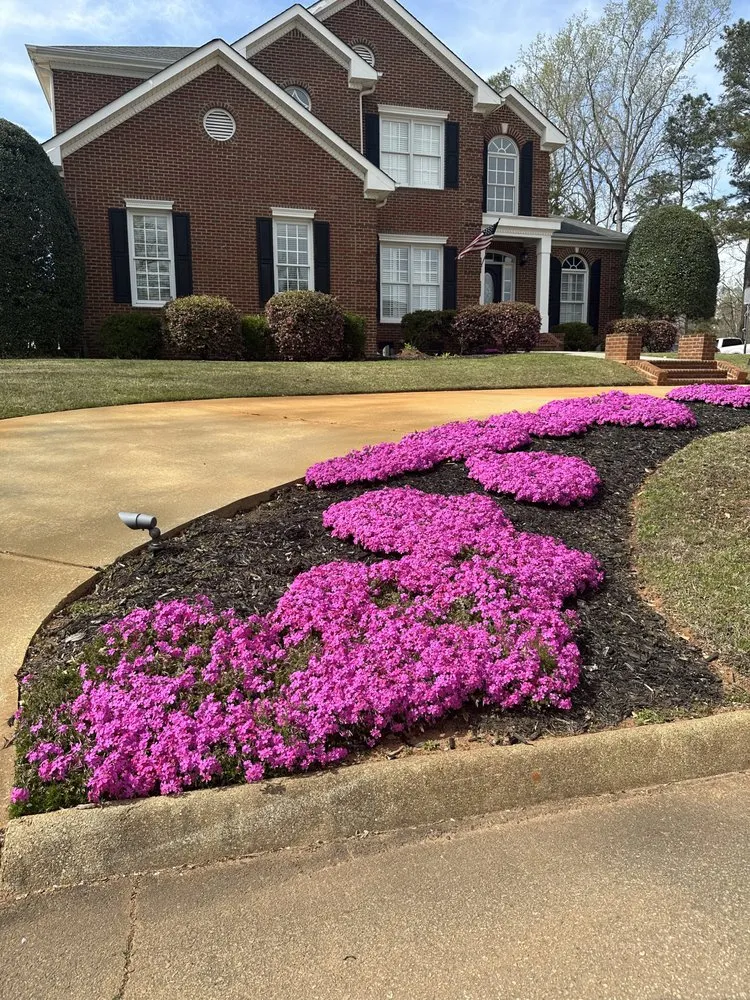 Trusted landscaping services in Greenville, SC - Ventura Premium Outdoor Service