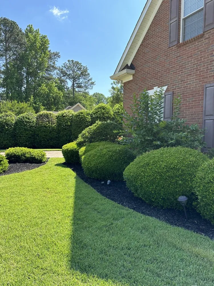 Affordable lawn care service for homes in Greenville, SC by Ventura Premium Outdoor Service