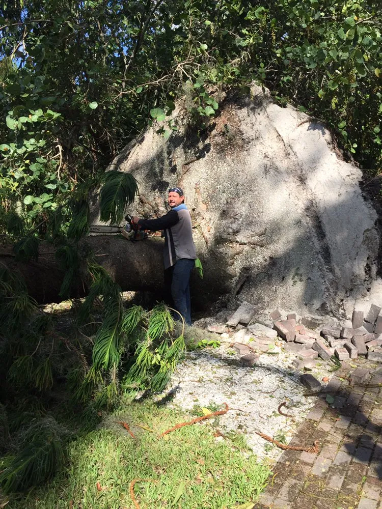 Expert yard cleanup service for residential properties across Sarasota, FL - Ventura Tree and Lawn Service