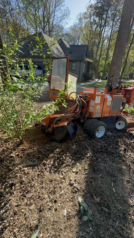 Expert landscape design experts serving Snellville, GA - Ventura Tree Service And Landscaping