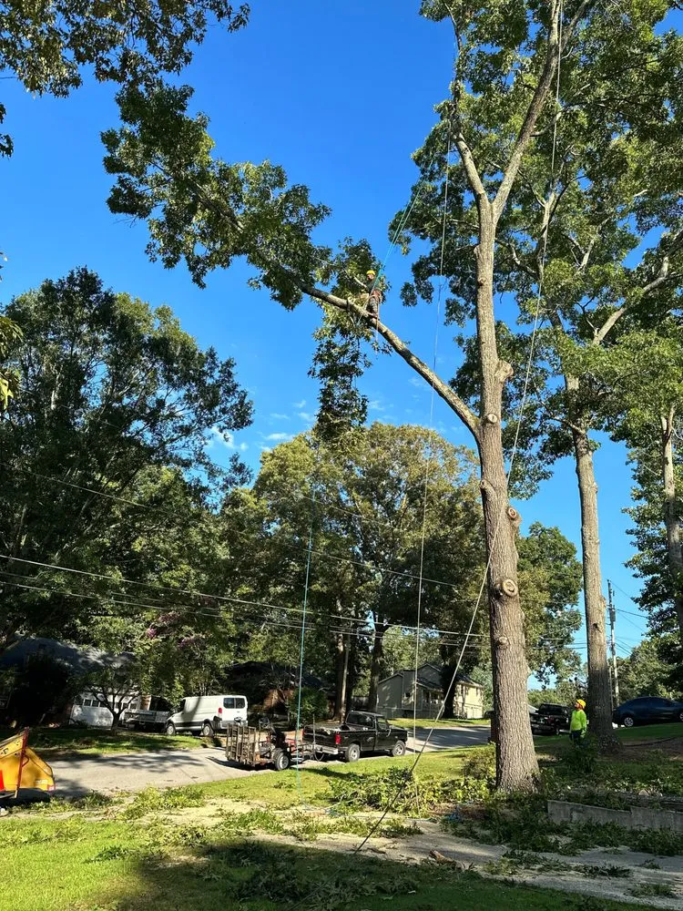 Affordable yard maintenance for homes in Snellville, GA by Ventura Tree Service And Landscaping
