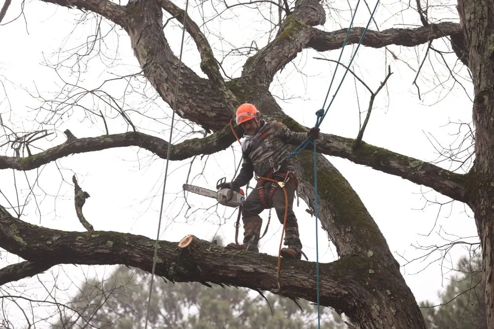 Reliable lawn mowing service for homes across Snellville, GA - Ventura Tree Service And Landscaping