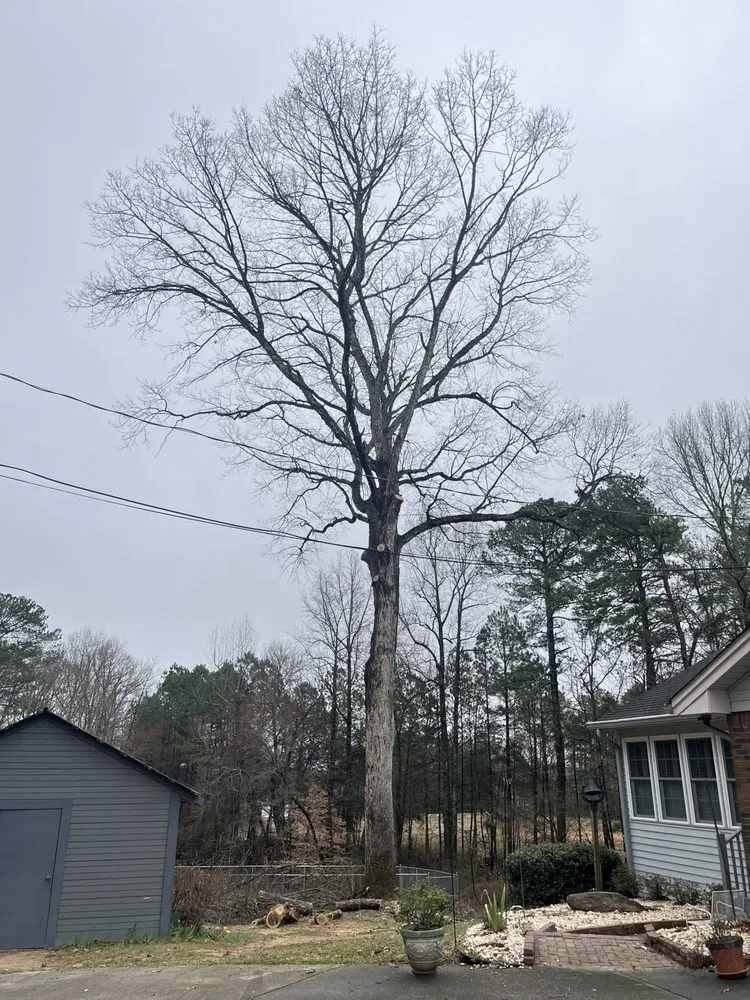 Top-rated landscape installation in Snellville, GA by Ventura Tree Service And Landscaping