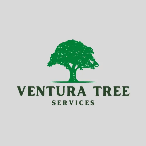 Top-rated landscaping services for outdoor upgrades across Channel Islands Beach, CA - Ventura Tree Services