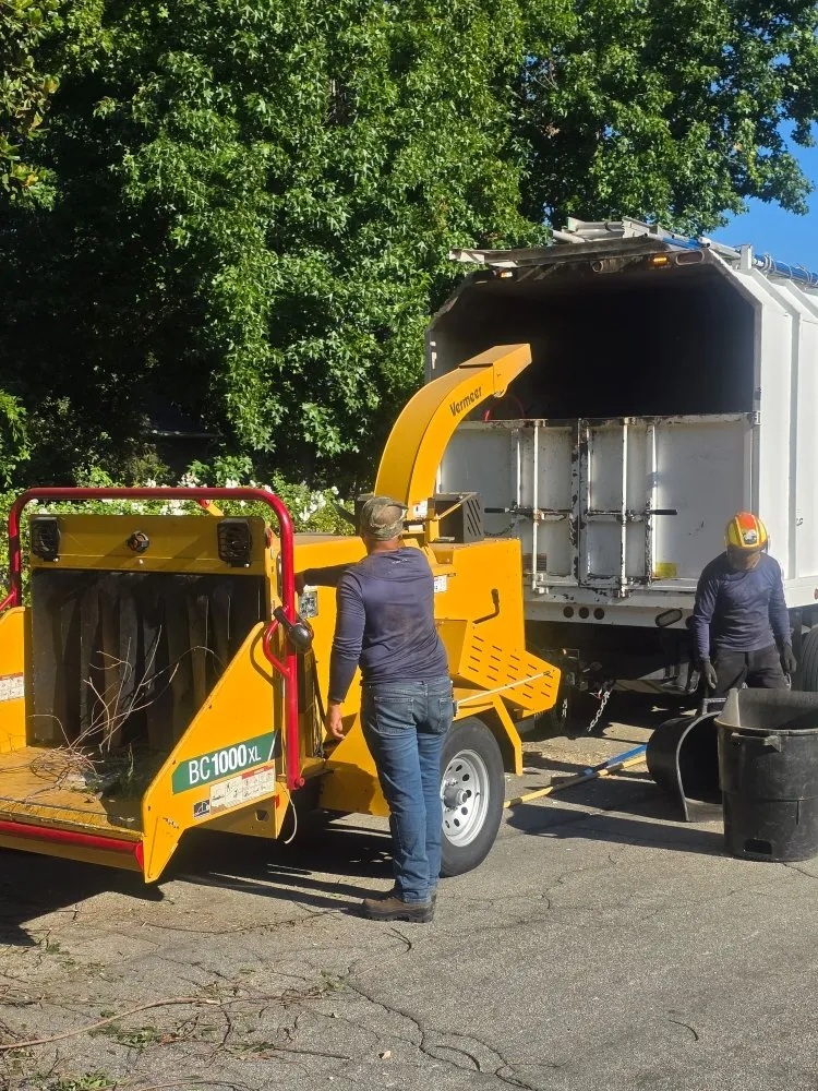 Expert yard cleanup service for beautiful yards across Channel Islands Beach, CA - Ventura Tree Services