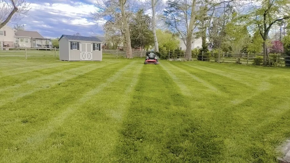 Reliable yard cleanup service with custom design across Oreland, PA - Ventura’s Landscaping