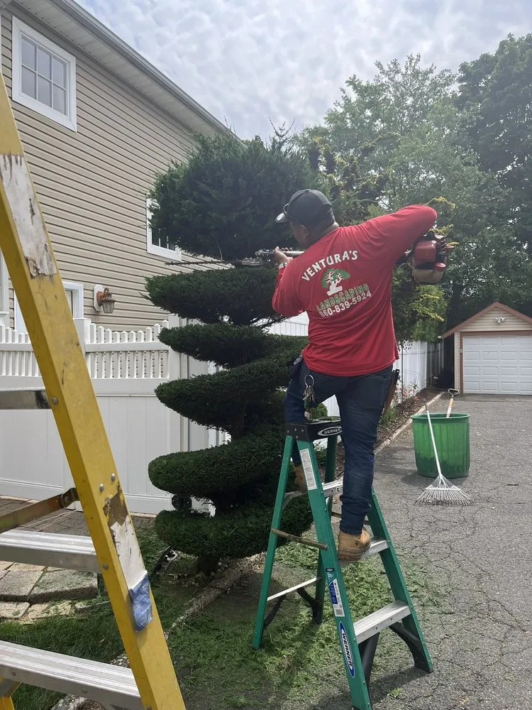 Professional lawn care service near you across Passaic, NJ - Ventura’s Landscaping