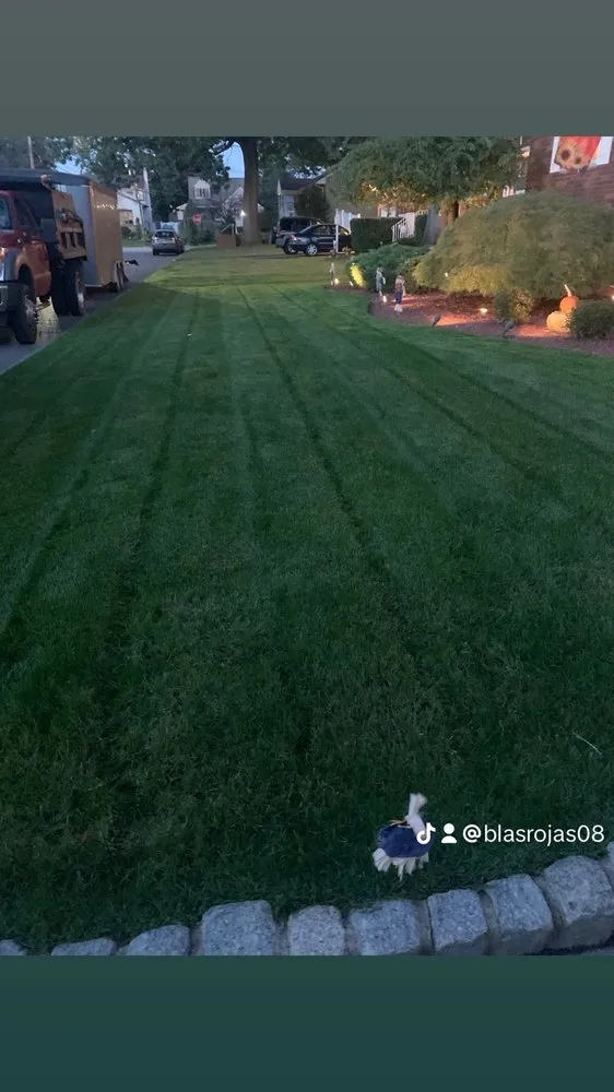 Trusted lawn care service in Passaic, NJ by Ventura’s Landscaping