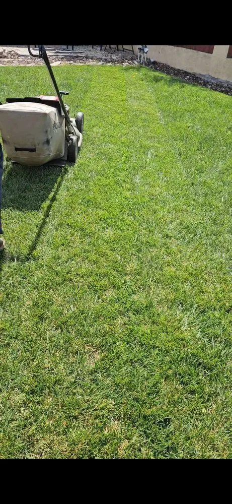 Reliable residential landscaping experts serving Santa Maria, CA - Ventura's Lawn Care Maintanance