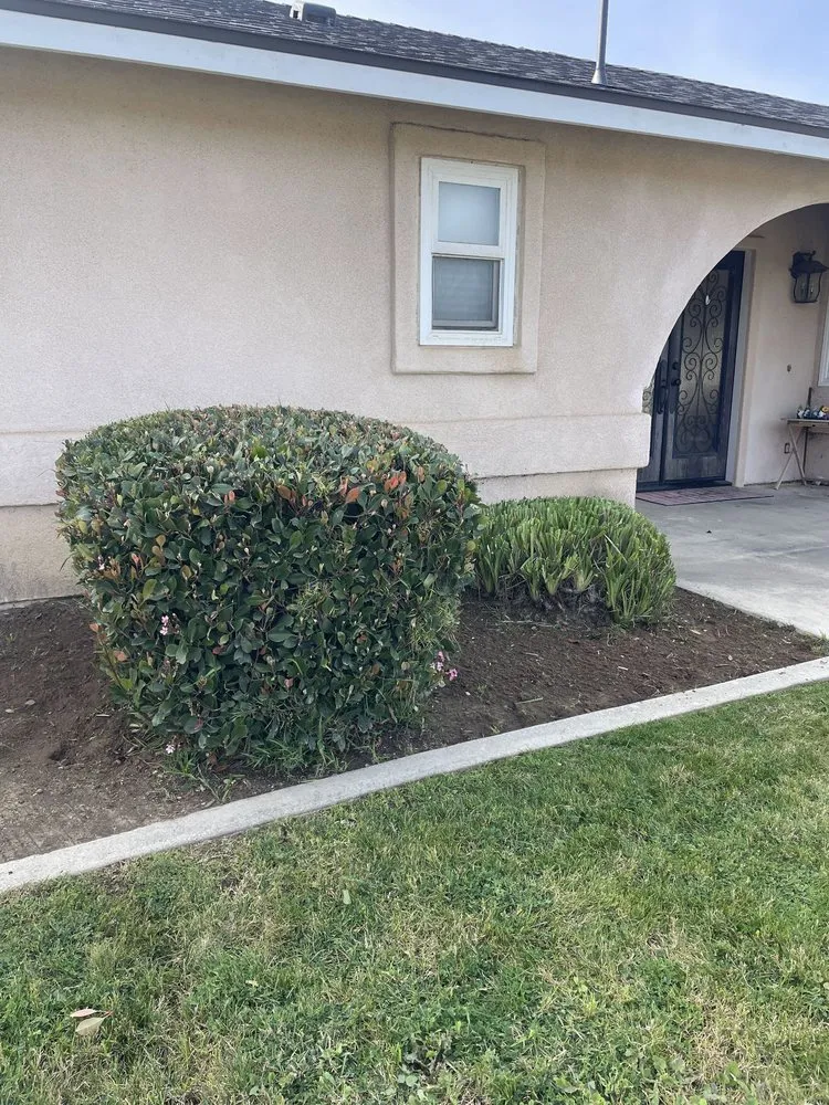 Local landscape installation in Santa Maria, CA - Ventura's Lawn Care Maintanance