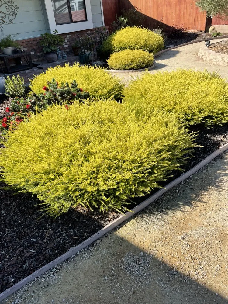 Affordable garden landscaping in Santa Maria, CA - Ventura's Lawn Care Maintanance