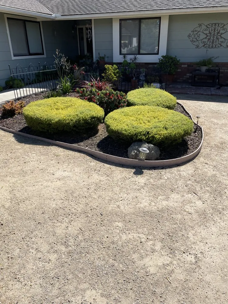 Local lawn mowing service in Santa Maria, CA by Ventura's Lawn Care Maintanance