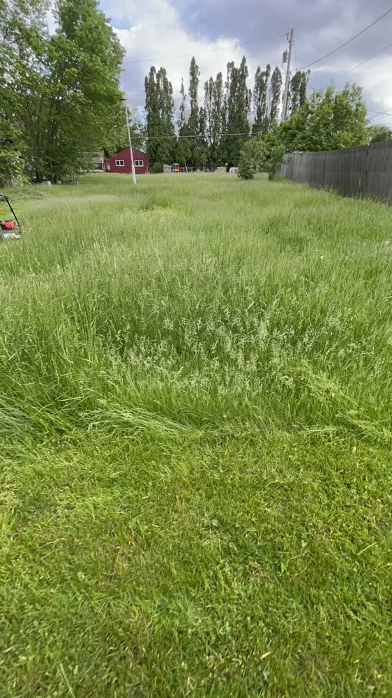 Affordable garden landscaping in Des Moines, IA by Venturas Lawncare and Pressure Washing