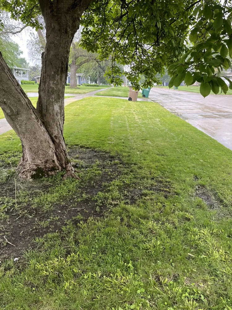 Local landscape installation in Des Moines, IA by Venturas Lawncare and Pressure Washing