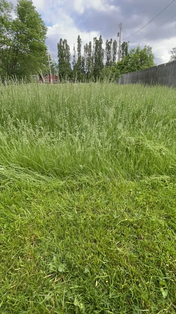 Reliable lawn care service experts serving Des Moines, IA - Venturas Lawncare and Pressure Washing