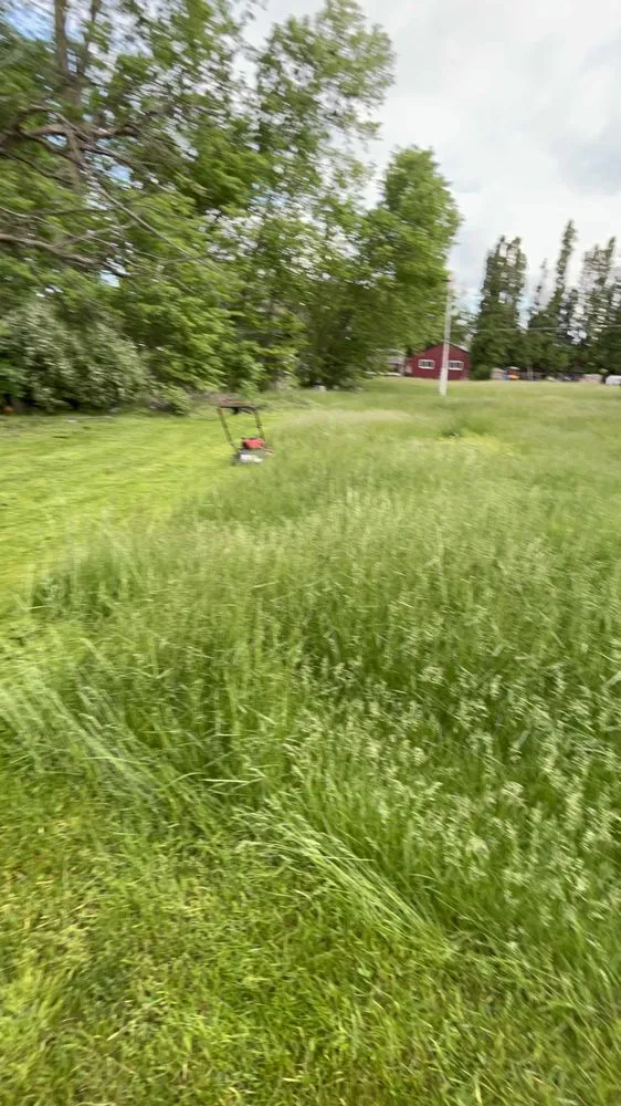 Expert lawn mowing service for beautiful yards across Des Moines, IA - Venturas Lawncare and Pressure Washing