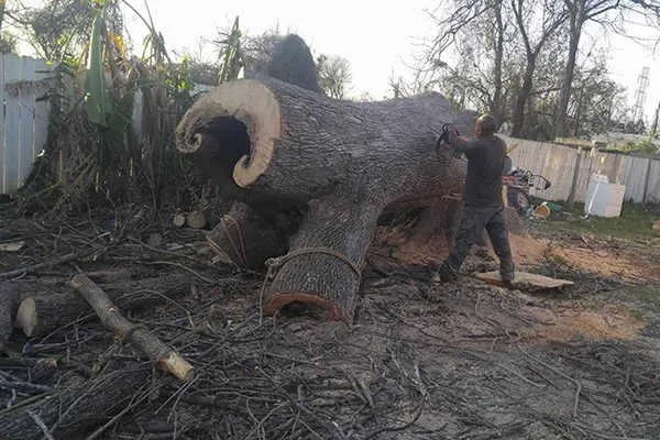 Reliable landscaping services in Conroe, TX - Ventura's Tree Services