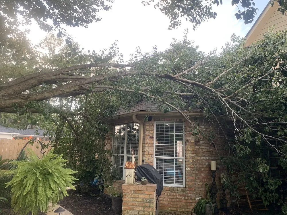 Expert residential landscaping with custom design across Conroe, TX - Ventura's Tree Services